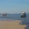 Водите на Рио Негро и Амазонка, край Манаус, погледнати отблизо.